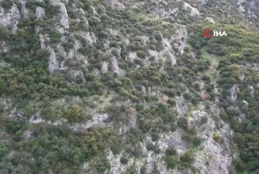 Manisa Spil Dağı'nda çürümüş ceset paniği!