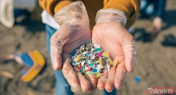 Market Raflarında Sıkça Yer Alan Bazı Popüler Ürünler, Düşündüğünüzden Çok Daha Tehlikeli Olabilir. Son Araştırmalar, Bu Gıdaların Ardındaki Gizli Riskleri...