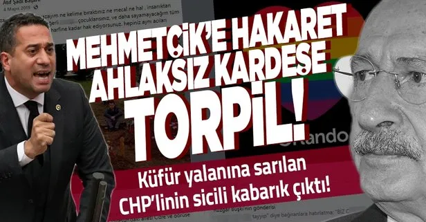 Küfür yalanına sarılan CHP’li Ali Mahir Başarır’ın sicili kabarık çıktı: Orduya hakaret ahlaksız kardeşe torpil!
