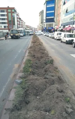 Yine CHP’li belediye yine ağaç katliamı