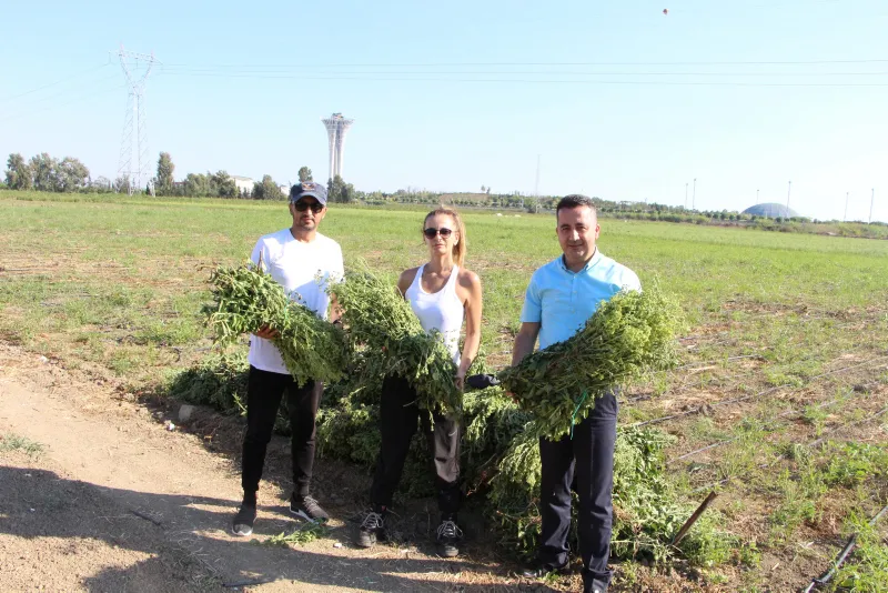 17 yıllık mesleğini bıraktı, servetine servet kattı - 5