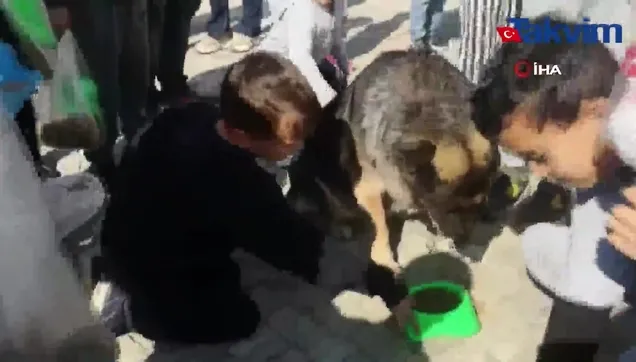 Sokak hayvanları için toplandılar