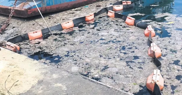 Bilim insanları, deniz salyasını bitirmek için laboratuvara girdi: Müjdeli haber İstanbul Üniversitesi'nden geldi