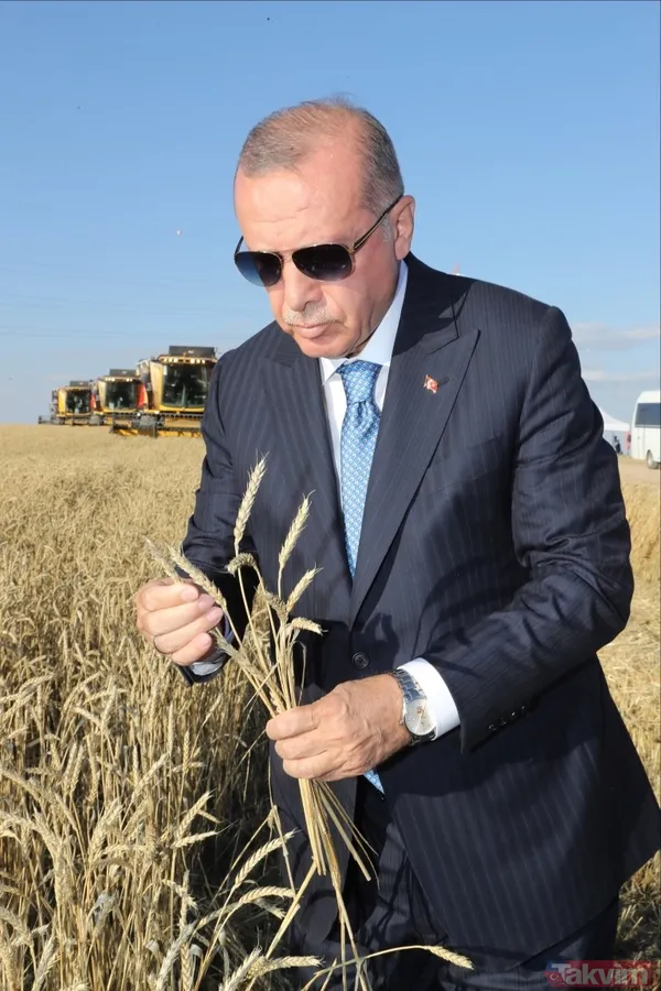 Başkan Erdoğan biçerdöverde buğday hasatı yaptı - 36