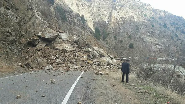 Artvin'de dehşet! Gezmek için yola çıktı, korkunç olayı yaşadı-3