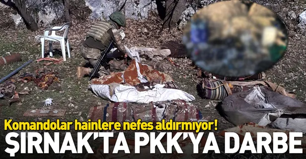 Şırnak’ta PKK’nın bahar hazırlıklarına darbe