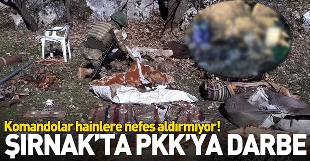 Şırnak’ta PKK’nın bahar hazırlıklarına darbe