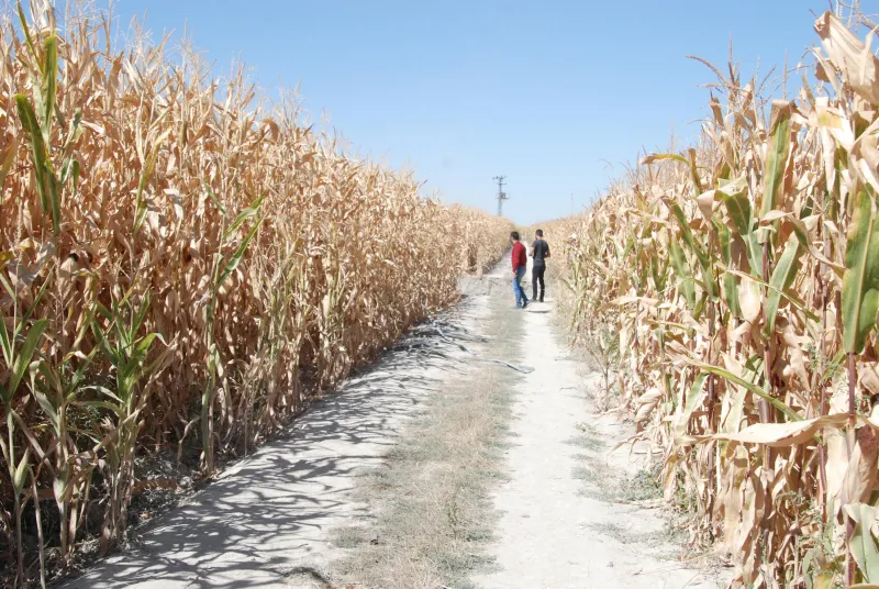 Konya'da yeni obruk oluştu - 12