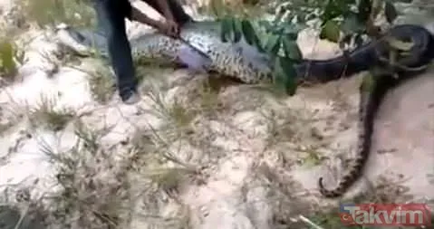 Duvarın içinden gelen seslerden ilallah etti sonunda paramparça etti! Gördükleri karşısında kalbi yerinden çıkacaktı - 20