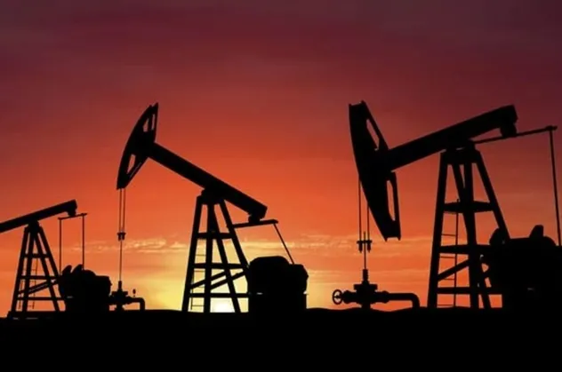 TPAO'nun Adana'da petrol arama ruhsat başvurusu kabul edildi