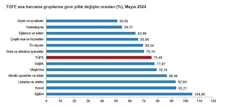 TÜİK mayıs ayı enflasyon verilerini açıkladı! Hazine ve Maliye Bakanı Mehmet Şimşek: "En kötüsü geride kaldı!"-7