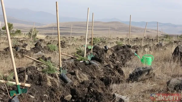 Çanakkale'de 14 Ayrı Noktada Fidan Dikimi Yapıldı. İzmir Yolu Dardanos Caddesinde Düzenlenen Fidan Dikim Etkinliğine, Çanakkale Valisi Ömer Toraman, Çanakkale...
