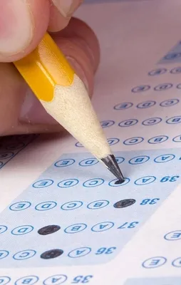 Seviye Tespit Sınavı sonuçları açıklandı