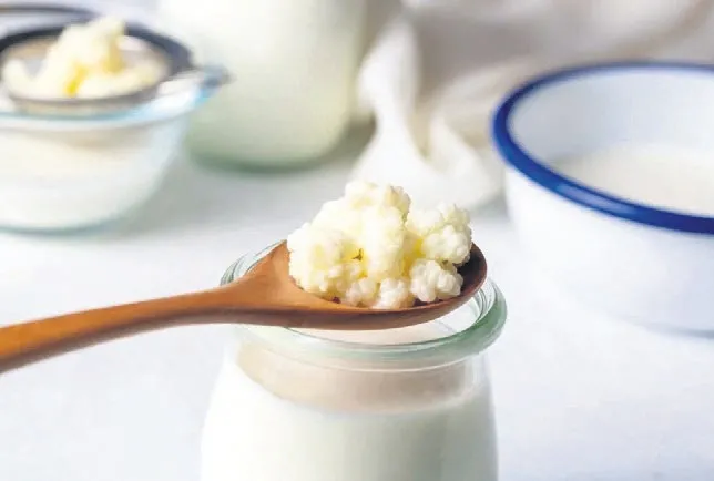 Aklın yolu kefir