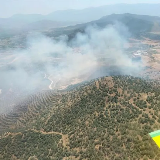 İzmir’de tarlada çıkan yangın, ormana sıçradı