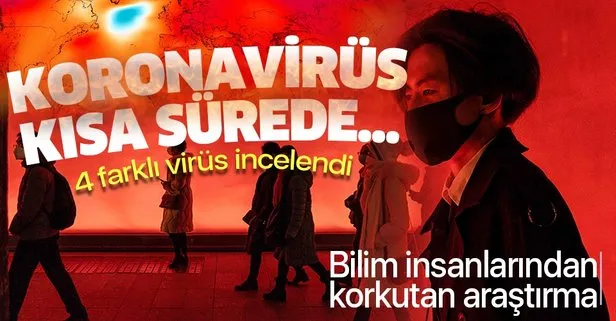 Koronavirüsle ilgili yeni araştırma! 4 virüs türü incelendi! Koronavirüs kısa süre içerisinde...