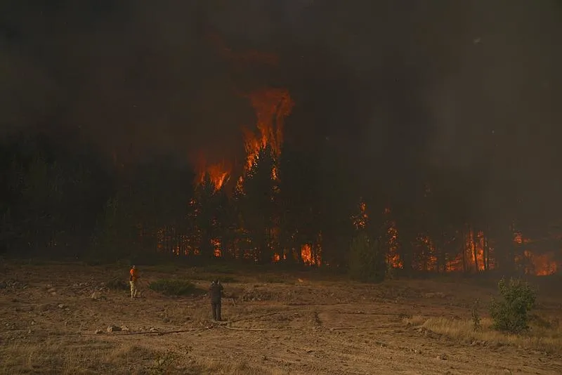 Ankara'da başladı Bolu'ya sıçradı! Gerede'deki orman yangını kontrol altına alındı-14