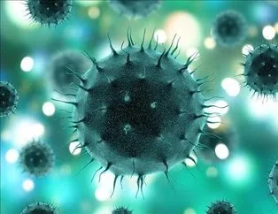 Koronavirüs daha fazla insan hücresine bulaşıyor!