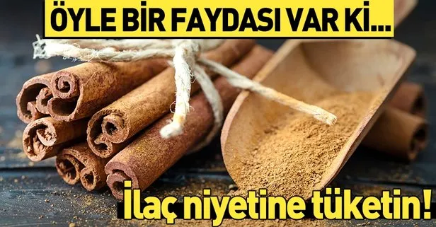 Parkinson’a tarçın etkisi