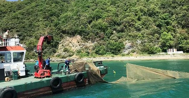İstanbul Boğazı’nda tespit edildi! On binlerce balık son anda kurtarıldı