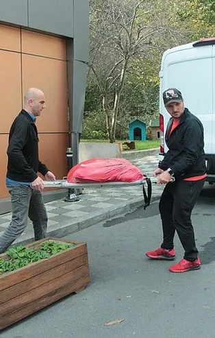 Beşiktaş'ta son dakika vahşet haberi! Köpek kurşunlanarak öldürüldü