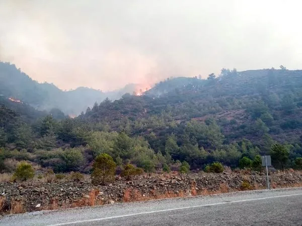 Muğla'daki orman yangını kontrol altına alındı-5