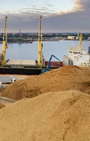 Ukrayna tahılına sıkı takip! Belge şartı getirildi