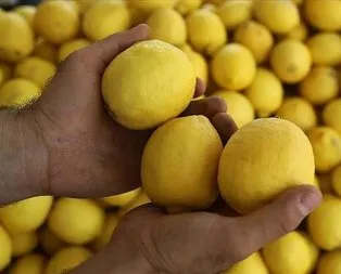 Limon sedefe son