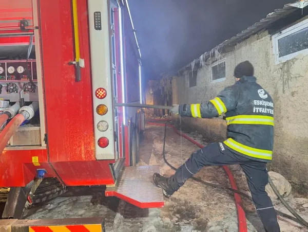 eskisehirde-turgutlar-mahallesinde-agilda-cikan-yangin-3-saatte-sonduruldu-50-hayvan-telef-oldu-800-bin-lira-z-1643191271833.jpg Eskişehir'de Turgutlar Mahallesi'nde ağılda çıkan yangın 3 saatte söndürüldü! 50 hayvan telef oldu 800 bin lira zarar-6