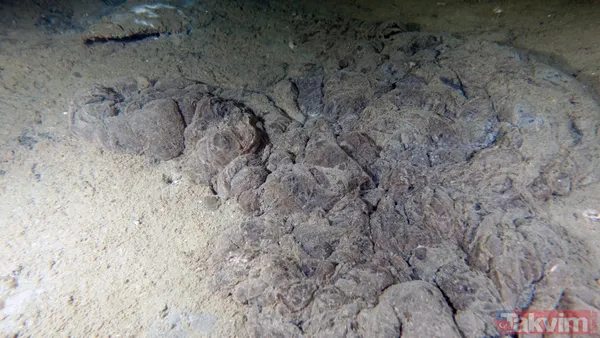 SON DAKİKA: Marmara Denizi için büyük tehlike! Deniz hala soğumadı müsilaj tehlikesi devam ediyor - 28