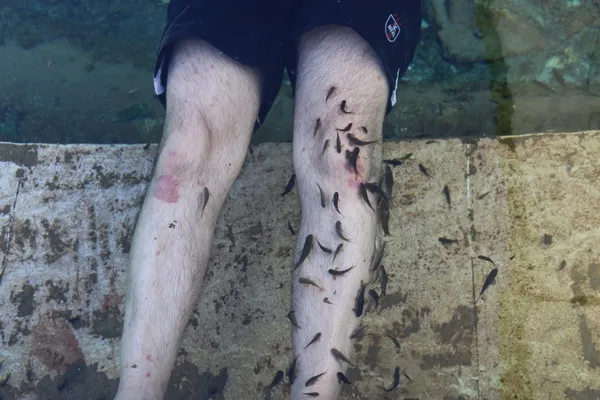 baskan-erdogan-imzayi-atti-sivas-kangalda-kalkim-balikli-koyu-projesi-icin-acele-kamulastirma-karari-alindi-1644823400913.jpg Başkan Erdoğan imzayı attı! Sivas Kangal'da Kalkım Balıklı Köyü Projesi için acele kamulaştırma kararı alındı-2