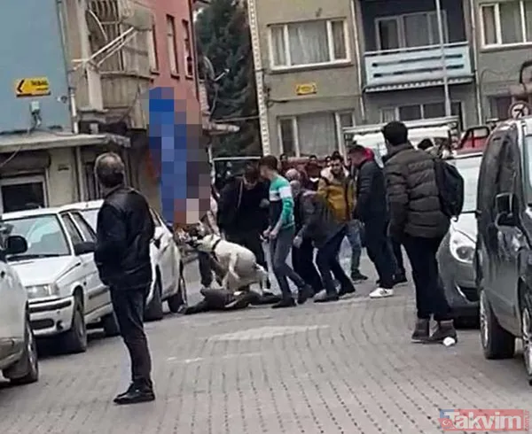 Malatya'da 'pitbull'lu dehşet! Kavga ettiği kişilerin üzerine köpeği saldı: 3 yaralı - 19