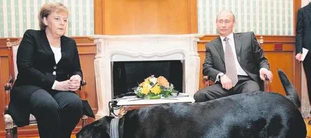 Konni’nin tasması zengin edecek