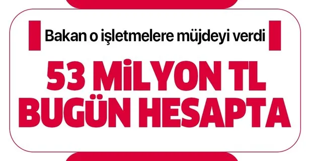 Bakan müjdeyi verdi: Destek bu akşam hesaplarda...