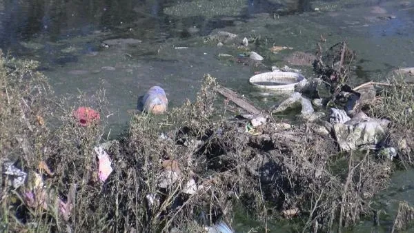 Son dakika: İstanbul Yeşilköy'de vatandaşı isyan ettiren görüntü: Dere çöp ve pislikle kaplandı-5