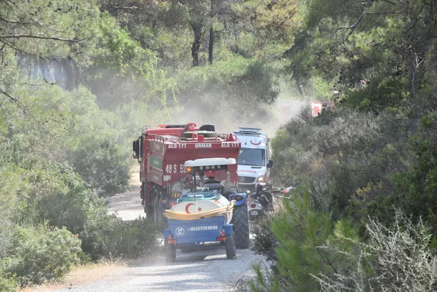 Son dakika haberi: Bodrum'da orman yangını-2