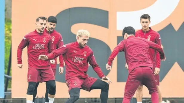 Aslan güç depoluyor