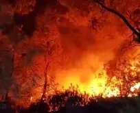 İzmir’de orman yangınına müdahale eden helikopter Tahtalı Barajı’na düştü! Aranan 3 kişiden acı haber geldi