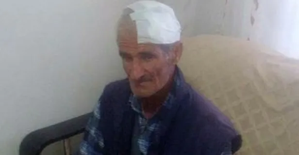 Sokak köpekleri yaşlı adama saldırdı