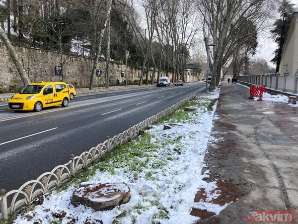 İBB'nin ağaç katliamı karşısında kafasını kuma gömenlere tepki! "Muhalefet keserse ağaçlar hasta, hükümet keserse doğa düşmanı..." - 16