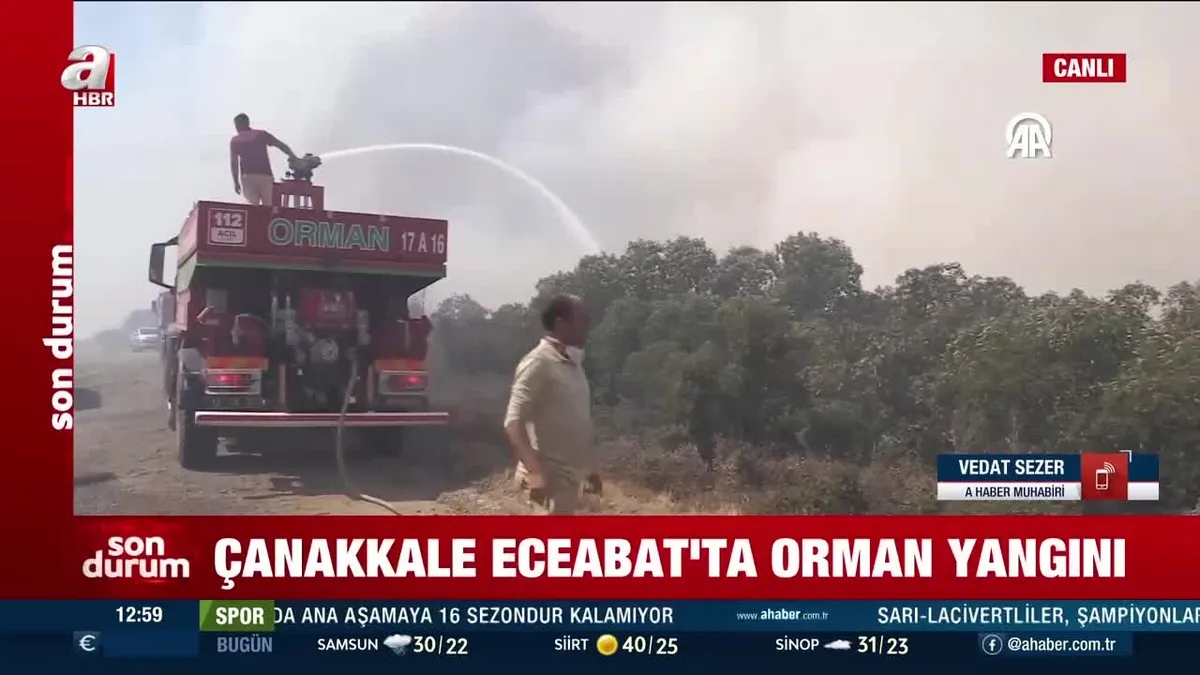 Çanakkale Eceabat'ta orman yangını
