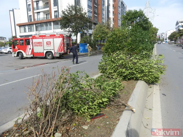 Refüjü aşıp ağaca çarptı yolda yürüyen kadın saniyelerle aracın altında kalmaktan kurtuldu! İşte o anlar - 11