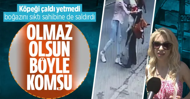 Üsküdar'da komşu krizi! Köpeği çaldı boğazını sıktı sahibine saldırdı