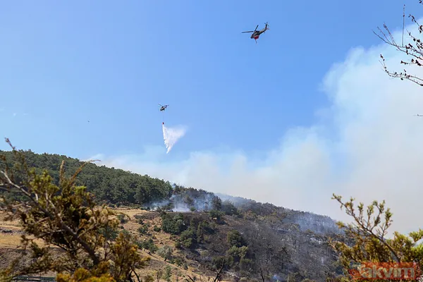 İzmir Bornova'da orman yangını: O yol kapatıldı - 19