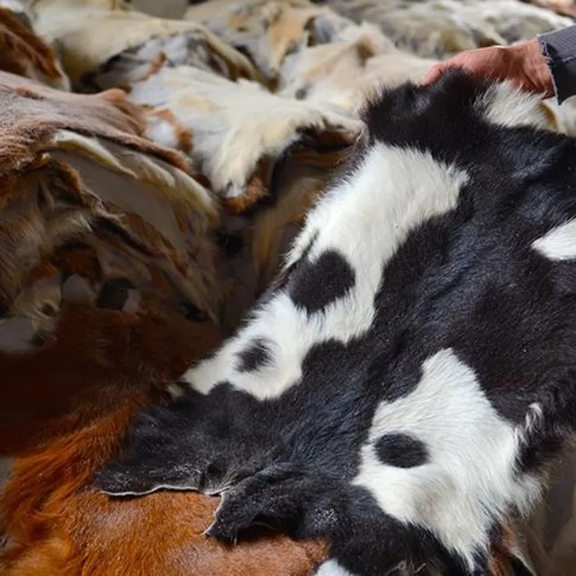 Kurban derisinden 15 milyar lira