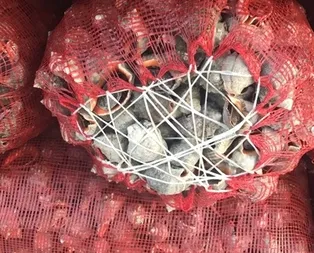 Türkiye’den dünyaya gönderiliyor