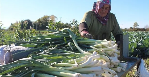 Kemik sağlığı için pırasa!
