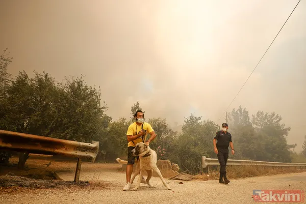 SON DAKİKA: Antalya Manavgat alevlere teslim oldu! İşte yürek yakan kareler - 22