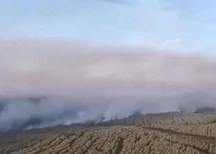 Tekirdağ ve Çanakkale’de orman yangını