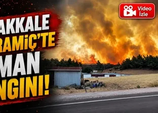 Çanakkale Bayramiç’te orman yangını!